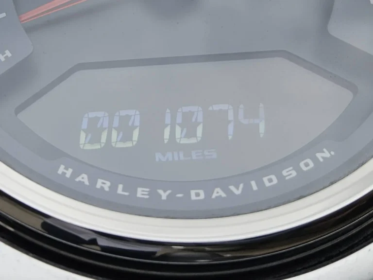 547252316_1208187308006325_1635847945208818544_n